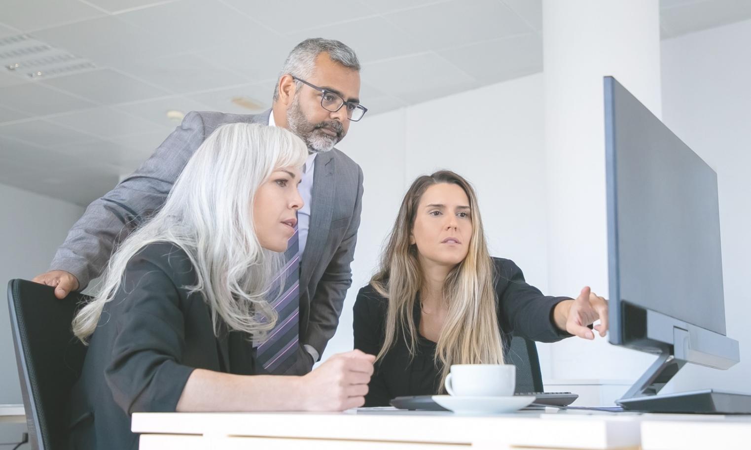 Professional software testing coordination process